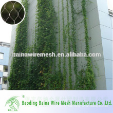 Stainless Steel Plant Climbing Net